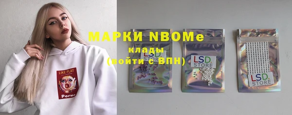 гашик Вязьма