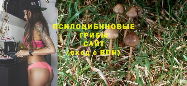 герыч Вяземский