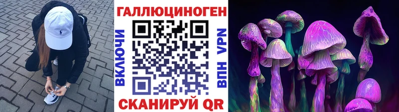 Галлюциногенные грибы мицелий  наркотики  Оха 